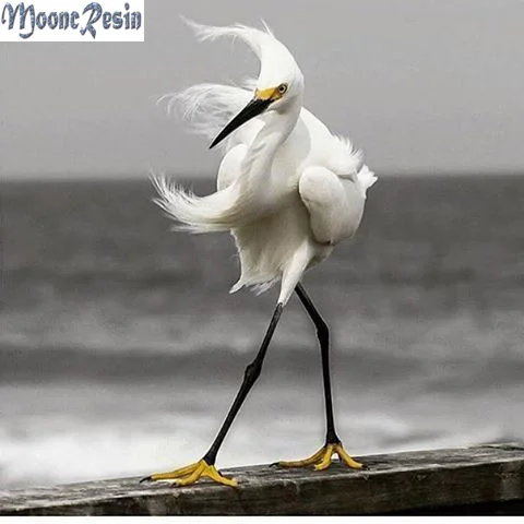 MOONCRESIN 5D Diamond Mosaic The Egrets Dance Pattern Sticker Full Square 3D Diamond Embroidery Flower Diy Diamond Painting Kits
MOONCRESIN 5D Diamond Mosaic The Egrets Dance Pattern Sticker Full Square 3D Diamond Embroidery Flower Diy Diamond Painting Kits