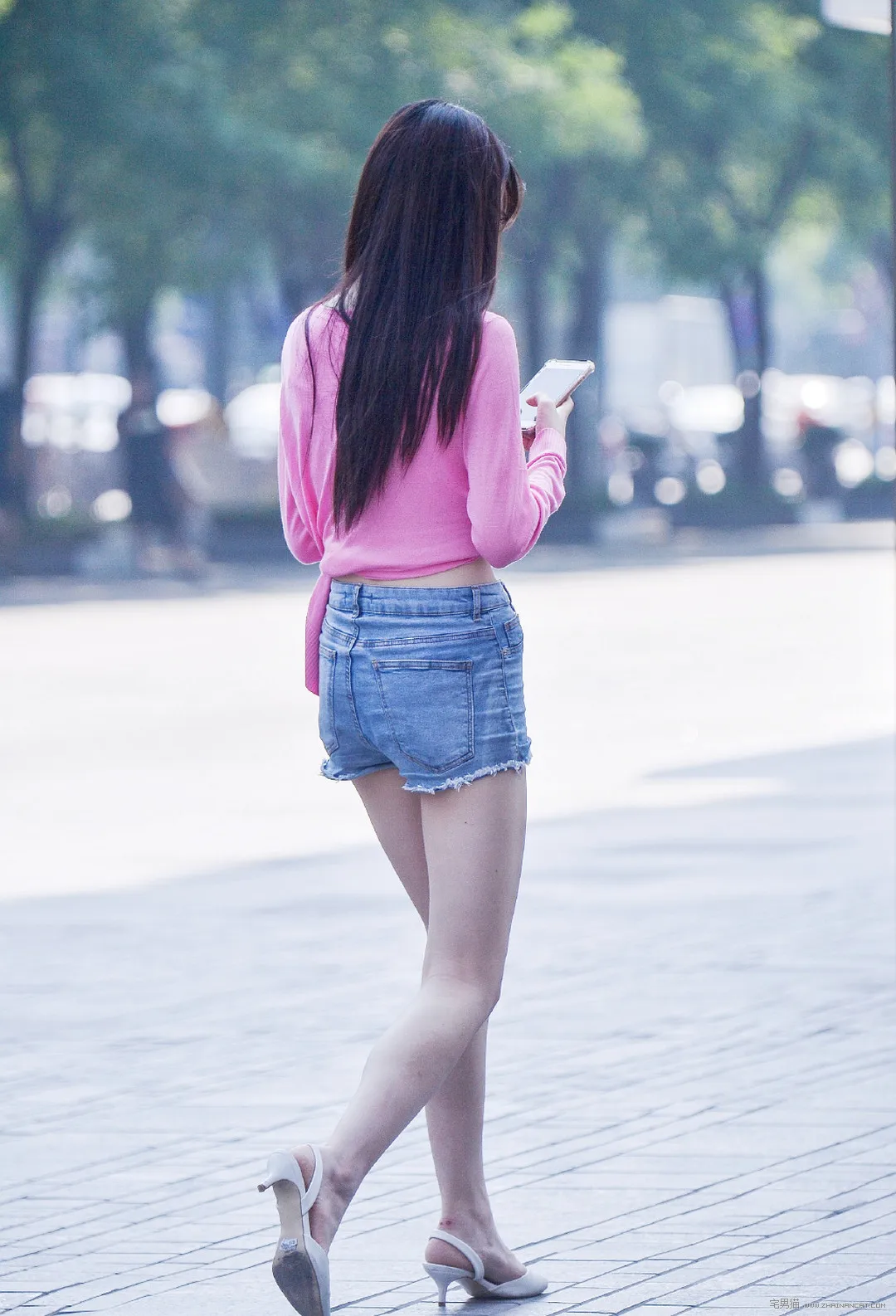 图片来源：www.zhainanmao.la