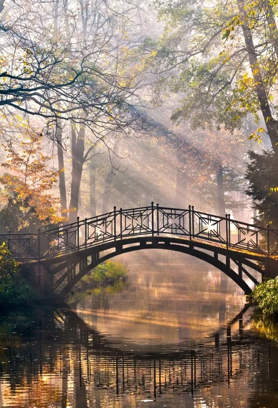 Laeacco Forest Bridge River Reflection Autumn Sunlight Photography Background Customized Photographic Backdrops For Photo Studio
Laeacco Forest Bridge River Reflection Autumn Sunlight Photography Background Customized Photographic Backdrops For Photo Studio