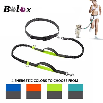 Dog Leash Elastic Dual Handle Reflective Dog lead Rope Free hand Multifunction Walking Running Pet dogs leashes Supplies
Dog Leash Elastic Dual Handle Reflective Dog lead Rope Free hand Multifunction Walking Running Pet dogs leashes Supplies