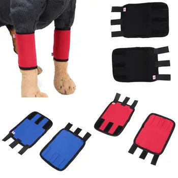 One Pair Canine Dog Hock Brace Leg Joint Wrap Protects Wounds Compression Wrap Helps Arthritis Stability Brace Bandage
One Pair Canine Dog Hock Brace Leg Joint Wrap Protects Wounds Compression Wrap Helps Arthritis Stability Brace Bandage