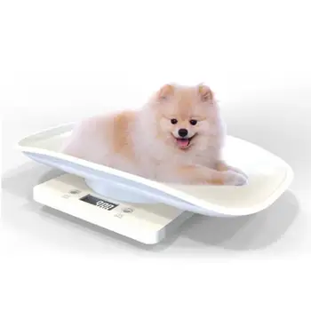 Plastic Electronic Digital Small Baby Pet Scale HD LCD Measure Tool Accurately 1g-5k
Plastic Electronic Digital Small Baby Pet Scale HD LCD Measure Tool Accurately 1g-5k