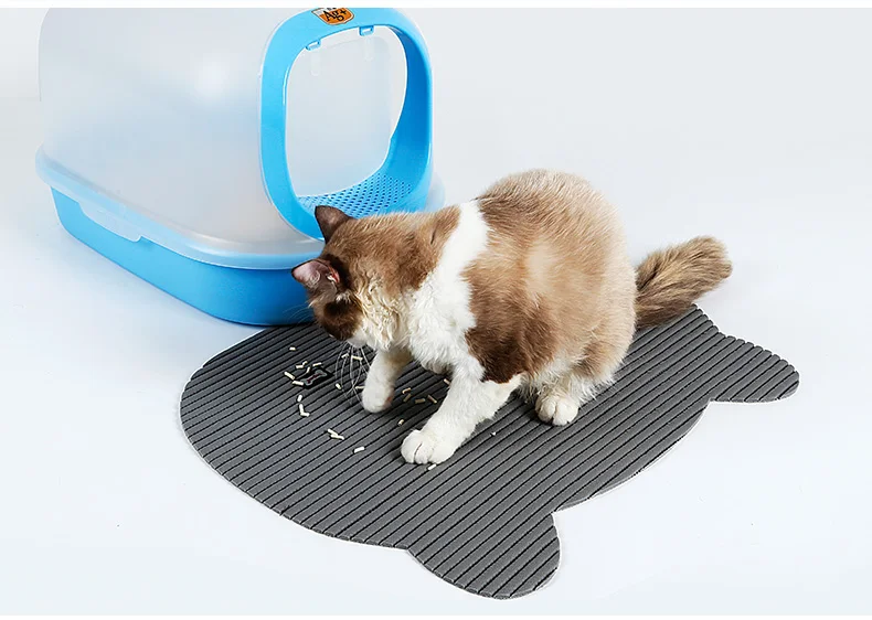 HTB1TnYqSFXXXXctXFXXq6xXFXXX5 HTB1TnYqSFXXXXctXFXXq6xXFXXX5 CAT LITTER BOX LARGE FLUSHABLE CAT LITTER BOX LARGE FLUSHABLE CAT LITTER BOX HTB1TnYqSFXXXXctXFXXq6xXFXXX5