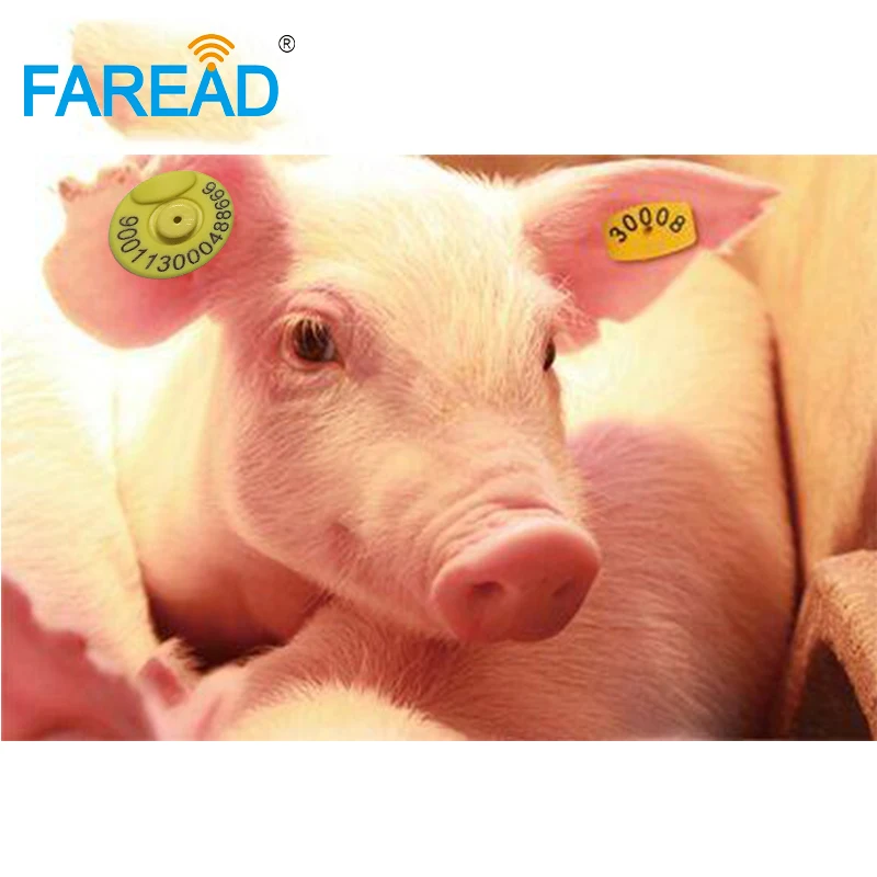 x50pcs 134.2Khz low frequency Animal ID tags ear tag for Pig,Sheep,Cow Animal Identification with Free ICAR number
x50pcs 134.2Khz low frequency Animal ID tags ear tag for Pig,Sheep,Cow Animal Identification with Free ICAR number