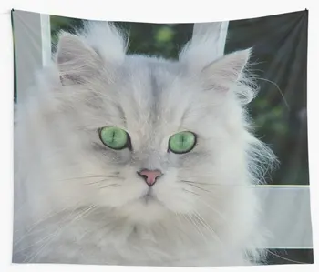 Persian Cat Wall Tapestry Cover Beach Towel Throw Blanket Picnic Yoga Mat Home Decoration
Persian Cat Wall Tapestry Cover Beach Towel Throw Blanket Picnic Yoga Mat Home Decoration