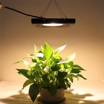 50W 100W 150W LED Grow Light COB Full Spectrum Grow Lamp IP67 Waterproof Warm White Phyto Lamp For indoor plant Grow Tent
50W 100W 150W LED Grow Light COB Full Spectrum Grow Lamp IP67 Waterproof Warm White Phyto Lamp For indoor plant Grow Tent