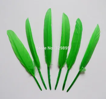Wholesale! Natural 1000pcs/lot Grass Green plumes 4-6 inch / 10-15 cm Goose Feathers for crafts Wedding shoe Decoration plumas
Wholesale! Natural 1000pcs/lot Grass Green plumes 4-6 inch / 10-15 cm Goose Feathers for crafts Wedding shoe Decoration plumas