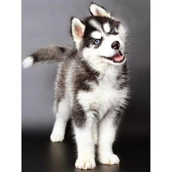 Yi Bright 3d Diamond Mosaic Home Decor Diamond Embroidery diy diamond Painting Cross Stitch kit Cute Husky picture KBL
Yi Bright 3d Diamond Mosaic Home Decor Diamond Embroidery diy diamond Painting Cross Stitch kit Cute Husky picture KBL