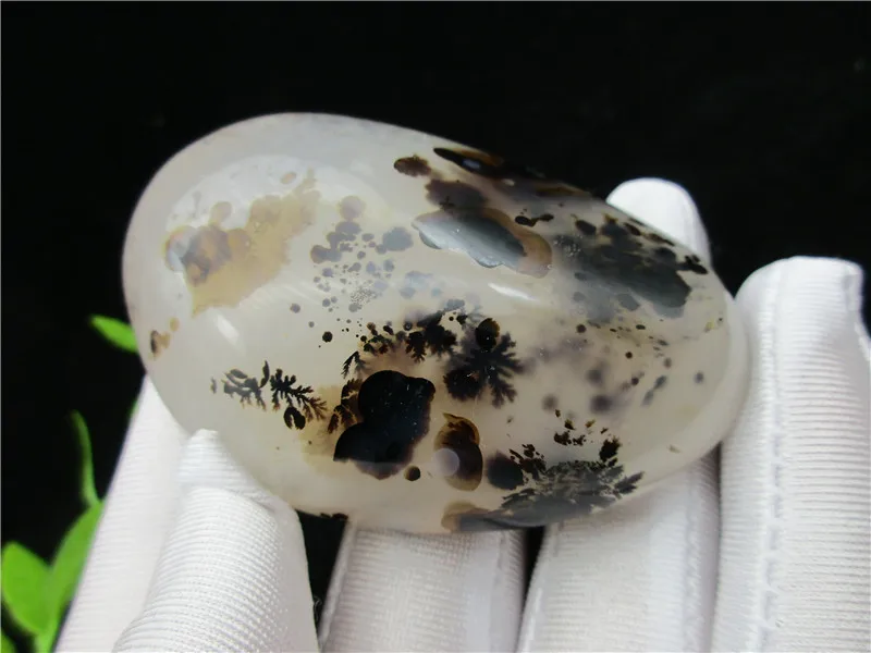Natural Polished Aquatic Plants Agate Crystal Specimen Madagascar Gift Energy Reiki Healing Collection
Natural Polished Aquatic Plants Agate Crystal Specimen Madagascar Gift Energy Reiki Healing Collection