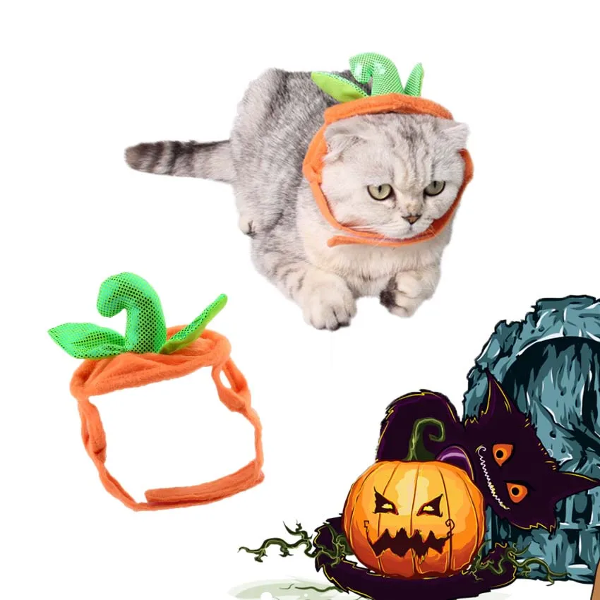 New Caps For Cat Dog Birthday Cap Hat Halloween Pumpkin Cats kitten Headwear Accessory Pets American Shorthair Grooming Product
New Caps For Cat Dog Birthday Cap Hat Halloween Pumpkin Cats kitten Headwear Accessory Pets American Shorthair Grooming Product