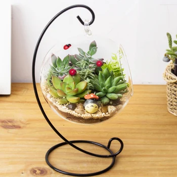 12 Inch 30cm Crystal Terrarium Container Hanging Holder Iron Stand Micro Landscape Figurines & Miniatures Holder Decoration
12 Inch 30cm Crystal Terrarium Container Hanging Holder Iron Stand Micro Landscape Figurines & Miniatures Holder Decoration