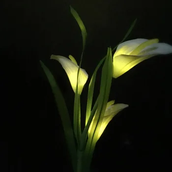 LED Simulation Flower Lamp Light Solar Powered Decoration Durable For Outdoor Lawn JA55
LED Simulation Flower Lamp Light Solar Powered Decoration Durable For Outdoor Lawn JA55