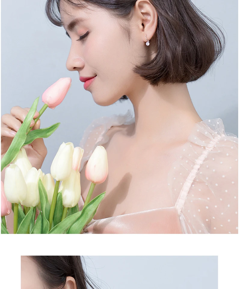 Exquisited 925 Sterling Silver Round CZ Zirconia Hoop Earrings for Women Ear Piercing Clip On Earrings Bohemia Bijoux Brincos (9)
