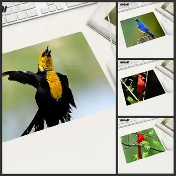 XGZ Talking Bird Rubber Mouse Mat Rectangular Rubber Mats Suitable for Laptop Players Corporate Office Home Desk PC MousePad
XGZ Talking Bird Rubber Mouse Mat Rectangular Rubber Mats Suitable for Laptop Players Corporate Office Home Desk PC MousePad