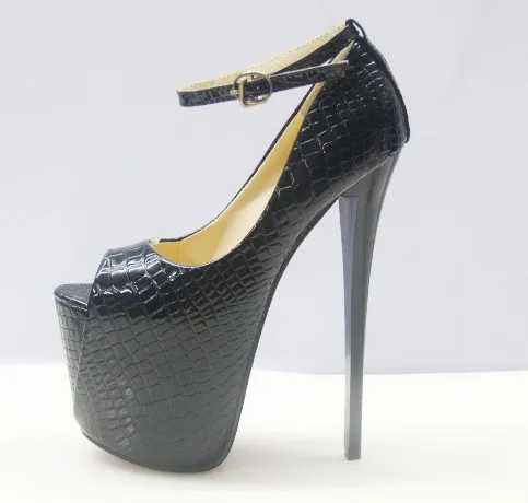 4540115535_511216355