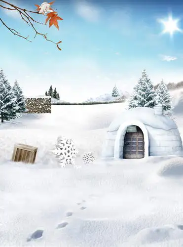 Washable material Christmas hollies on snow field for kids photography backdrop for photography backgrounds props HG-290-A
Washable material Christmas hollies on snow field for kids photography backdrop for photography backgrounds props HG-290-A