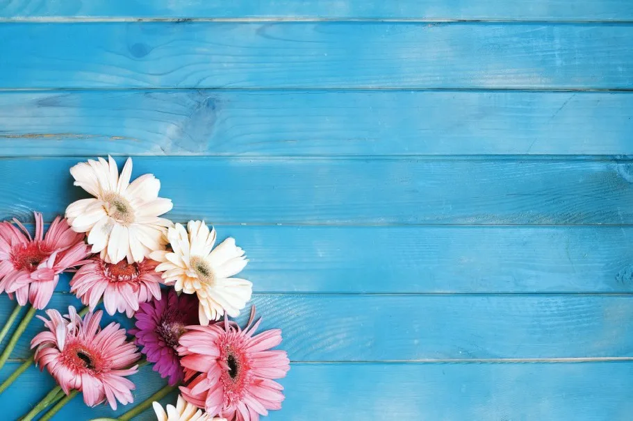 Laeacco Wooden Board Flowers Plank Old Style Young Photography Backgrounds Customized Photographic Backdrops For Photo Studio
Laeacco Wooden Board Flowers Plank Old Style Young Photography Backgrounds Customized Photographic Backdrops For Photo Studio