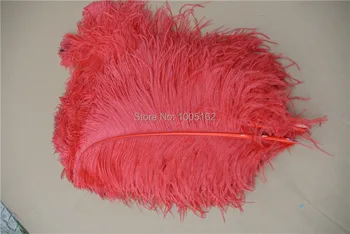 EMS Free Shipping 100 pcs 22-24inch 55-60cm red Ostrich Feather plumes for wedding centerpiece wedding decor costumes
EMS Free Shipping 100 pcs 22-24inch 55-60cm red Ostrich Feather plumes for wedding centerpiece wedding decor costumes