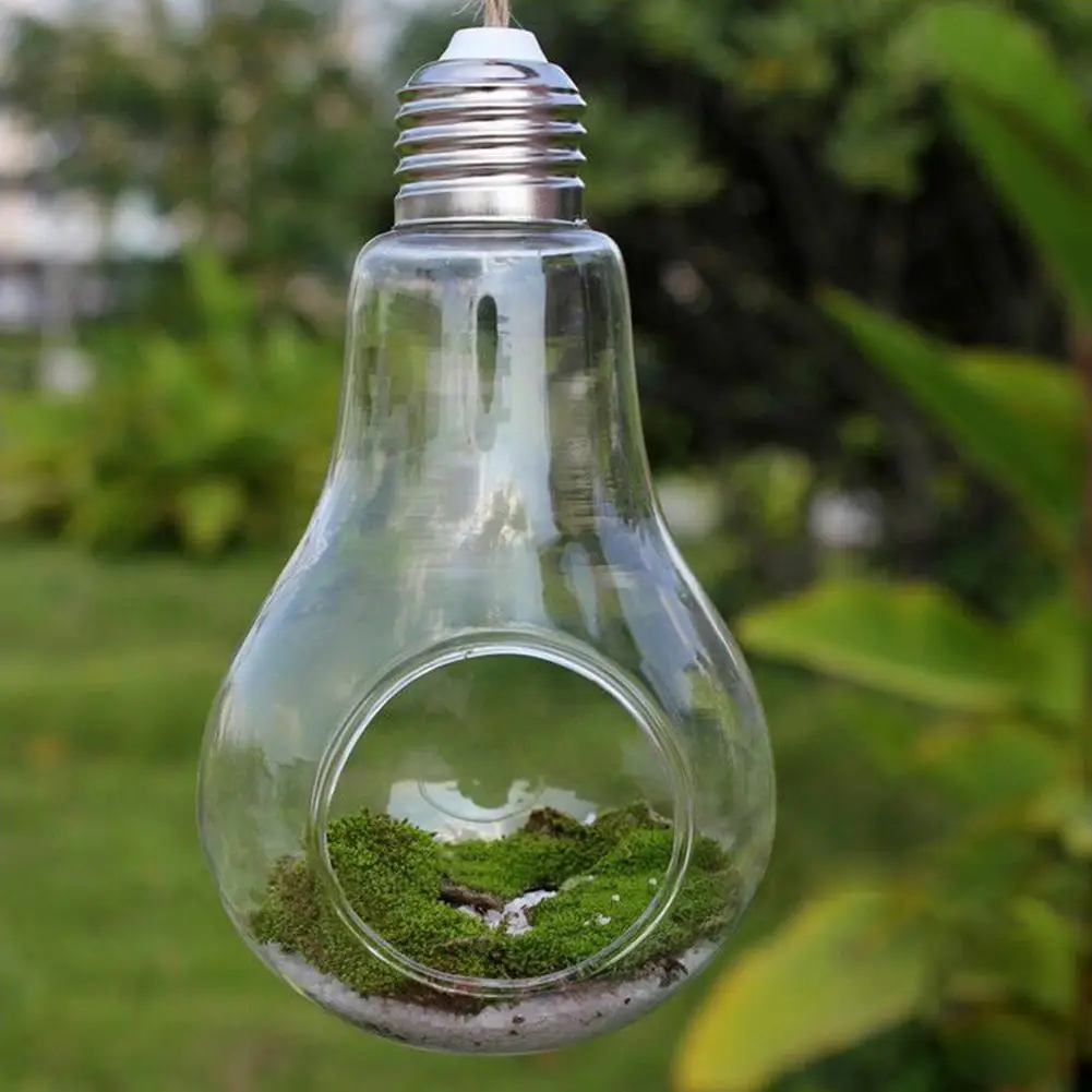 AsyPets Plant Glass Bulb Shape Hydroponic Container Terrarium Retro Country Flower Pot Home Decoration-40
AsyPets Plant Glass Bulb Shape Hydroponic Container Terrarium Retro Country Flower Pot Home Decoration-40