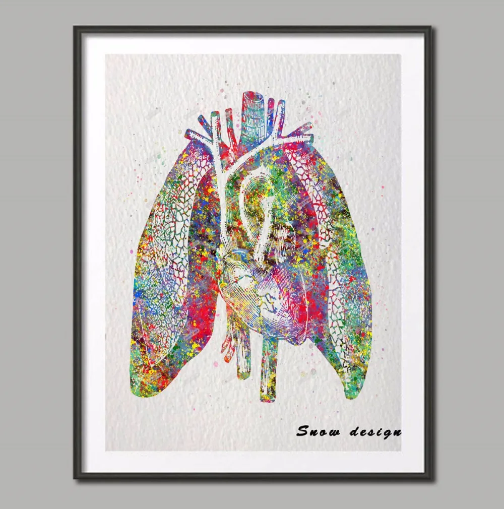 Original Watercolor Human Heart Lungs Anatomy wall art canvas NON diamond painting Medical poster print Picture home decoration
Original Watercolor Human Heart Lungs Anatomy wall art canvas NON diamond painting Medical poster print Picture home decoration