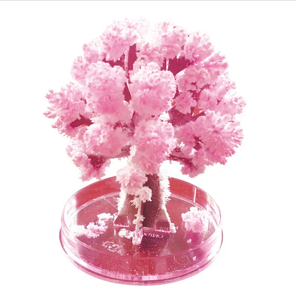 1PCS 2019 100x80mm Magically Grow Paper Sakura Crystal Trees Magic Growing Tree Japan Desktop Cherry Blossom Kids Christmas Toys
1PCS 2019 100x80mm Magically Grow Paper Sakura Crystal Trees Magic Growing Tree Japan Desktop Cherry Blossom Kids Christmas Toys