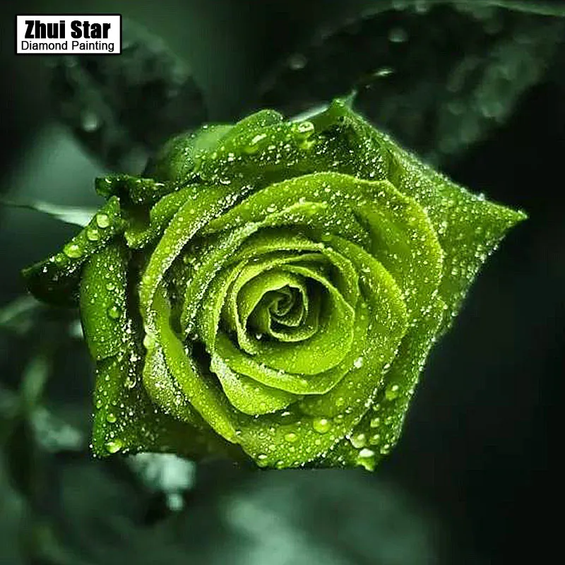 Full Drill Square Diamond 5D DIY Diamond Painting"Green roses"Diamond Embroidery Cross Stitch Rhinestone Mosaic Painting
Full Drill Square Diamond 5D DIY Diamond Painting"Green roses"Diamond Embroidery Cross Stitch Rhinestone Mosaic Painting