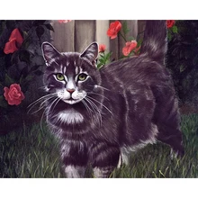 Beautiful DIY Cat Digital Paint Oil Painting Number Digital Canva Wall Picture Living Room Cafe Bar Decor Print Poster Free Ship