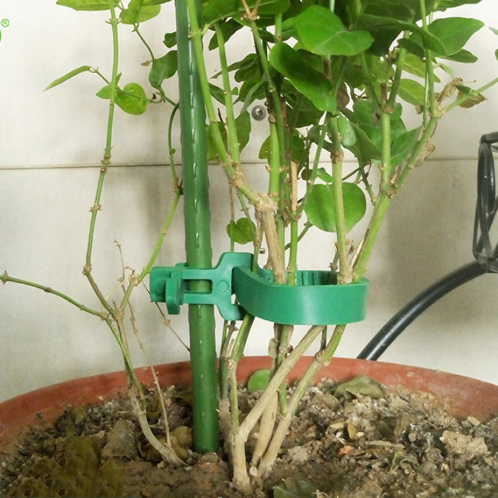 Adjustable Plastic Plant Cable Ties Reusable Self Locking Plant Cable Ties for Garden Tree Climbing Support 10pcs/set
Adjustable Plastic Plant Cable Ties Reusable Self Locking Plant Cable Ties for Garden Tree Climbing Support 10pcs/set