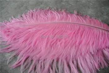 EMS Free Shipping 100pcs 18-20inch Light Pink Ostrich Feathers for Wedding Decor feather centerpiece table Decor
EMS Free Shipping 100pcs 18-20inch Light Pink Ostrich Feathers for Wedding Decor feather centerpiece table Decor
