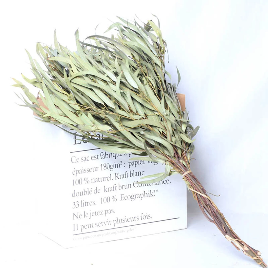 1 Bunch Eucalyptus Leaves Willow Dry Flower Bouquet Office Home Decoration Flower Material Handmade Flower DIY Accessories
1 Bunch Eucalyptus Leaves Willow Dry Flower Bouquet Office Home Decoration Flower Material Handmade Flower DIY Accessories