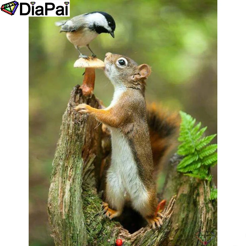 DIAPAI Diamond Painting 5D DIY 100% Full Square/Round Drill "squirrel bird" Diamond Embroidery Cross Stitch 3D Decor A24613
DIAPAI Diamond Painting 5D DIY 100% Full Square/Round Drill "squirrel bird" Diamond Embroidery Cross Stitch 3D Decor A24613