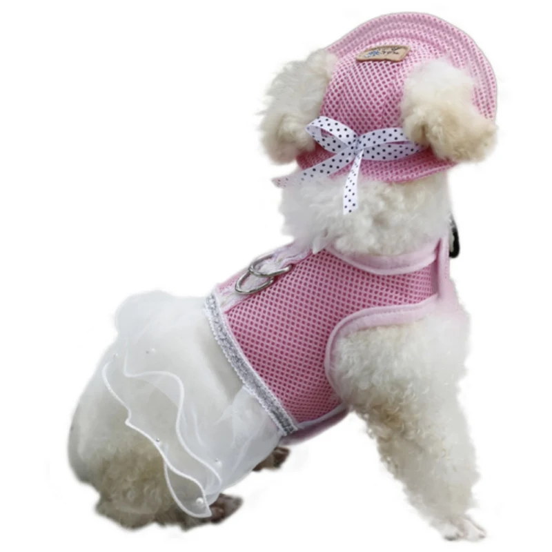 Breathable Dog Hat With Ear Holes Summer Baseball Cap For Small Pets Dog Outdoor Accessories Hiking Pet Product dog cap dog hat
Breathable Dog Hat With Ear Holes Summer Baseball Cap For Small Pets Dog Outdoor Accessories Hiking Pet Product dog cap dog hat