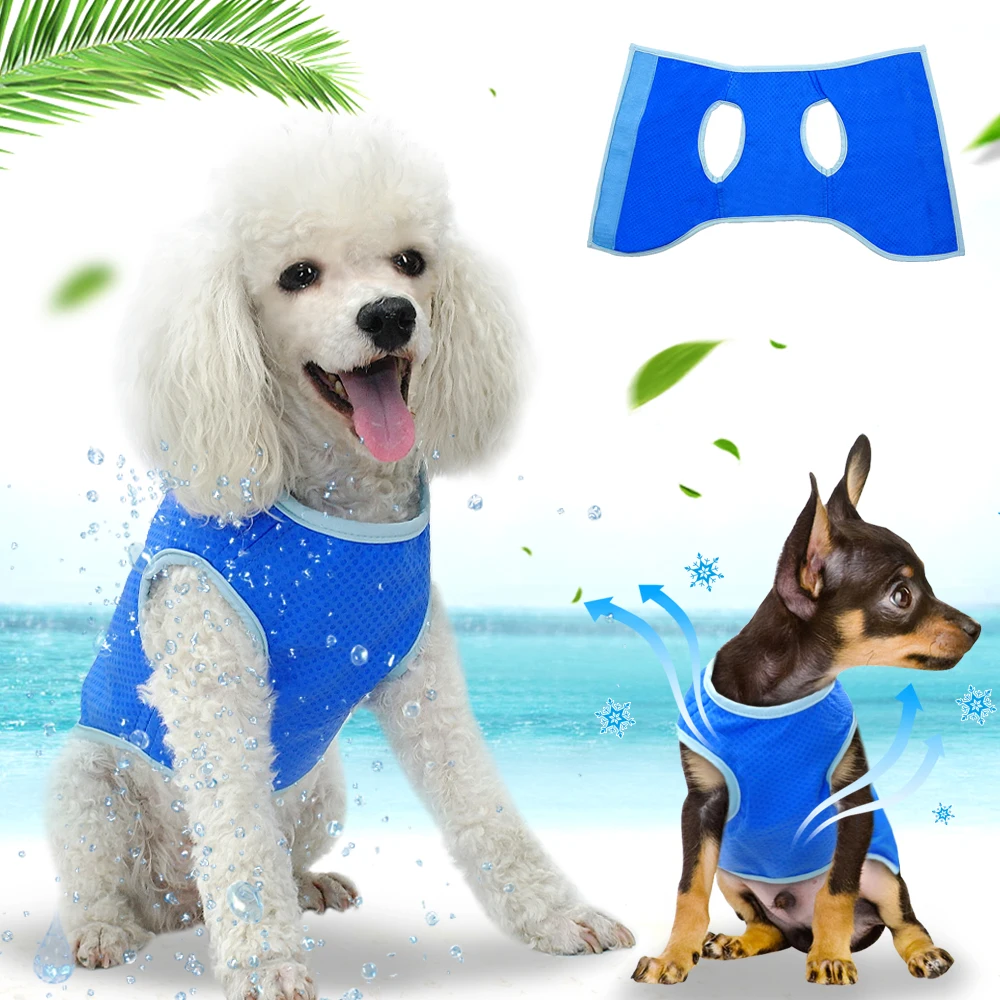 Summer Dog Cooling Vest Harness Pet Mesh Cool Vest Harness For Small Medium Dogs 4Sizes XS S M L
Summer Dog Cooling Vest Harness Pet Mesh Cool Vest Harness For Small Medium Dogs 4Sizes XS S M L