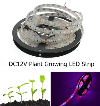 LED Plant Grow Light 5050 LED Strip DC12V 60LED/M Red Blue 3:1 4:1 5:1 Waterproof For Greenhouse Hydroponic Plant Growing
LED Plant Grow Light 5050 LED Strip DC12V 60LED/M Red Blue 3:1 4:1 5:1 Waterproof For Greenhouse Hydroponic Plant Growing