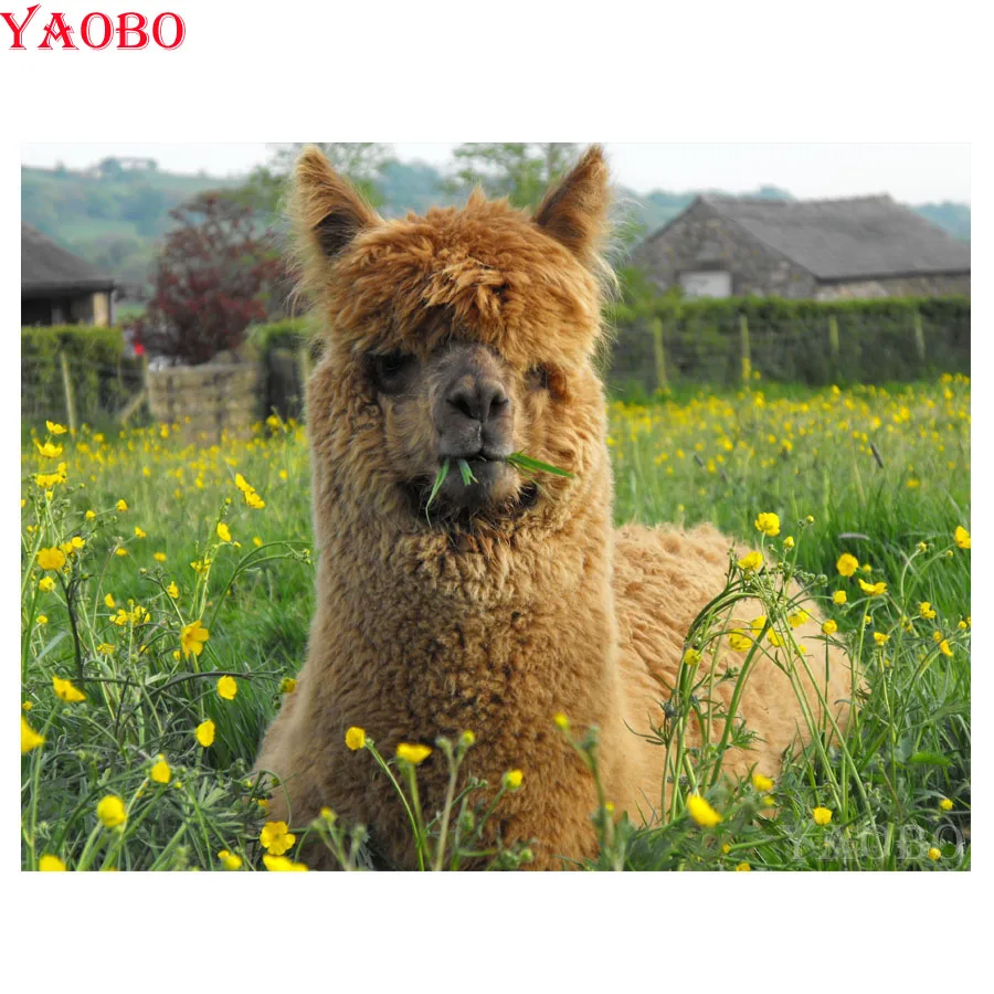 5D DIY diamond embroidery Australia Alpaca daimond painting Cross Stitch full square Rhinestone mosaic stickers wall painting
5D DIY diamond embroidery Australia Alpaca daimond painting Cross Stitch full square Rhinestone mosaic stickers wall painting