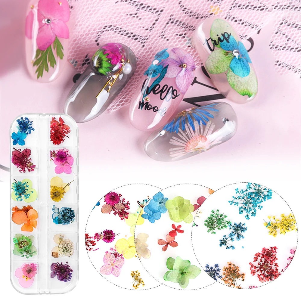 Mix Dry Flower 3D Decoration For Nail Accessories Set Floral Leaf Natural Nail Art Supplies Gel Polish Decals Tips Manicure
Mix Dry Flower 3D Decoration For Nail Accessories Set Floral Leaf Natural Nail Art Supplies Gel Polish Decals Tips Manicure