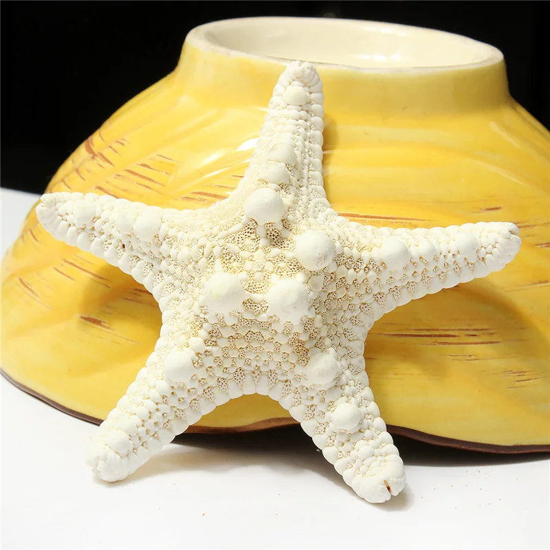 Lovely Aquarium Natural Craft Shell Artificial Sea Star Tank Ornament Decoration Platform Ornament Accessories Wedding Decor
Lovely Aquarium Natural Craft Shell Artificial Sea Star Tank Ornament Decoration Platform Ornament Accessories Wedding Decor