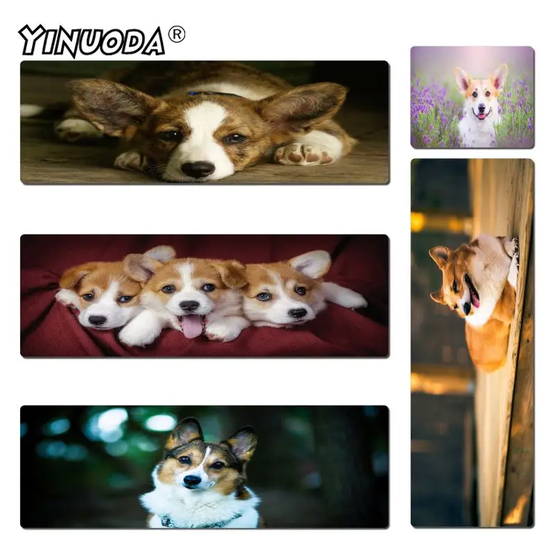 Yinuoda Beautiful Anime Cute Corgi Gaming Or Office Mice Play Mats Size 180*220 200*250 250*290 300*600 and 400*900*2mm
Yinuoda Beautiful Anime Cute Corgi Gaming Or Office Mice Play Mats Size 180*220 200*250 250*290 300*600 and 400*900*2mm