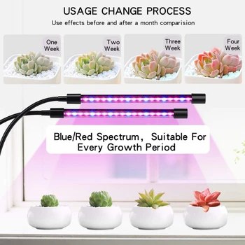 Adjustable Gooseneck Grow Light for Indoor Plants with Red Blue Spectrum LEDs Dual Head Timing 9 Dimmable Levels 3 Switch Modes
Adjustable Gooseneck Grow Light for Indoor Plants with Red Blue Spectrum LEDs Dual Head Timing 9 Dimmable Levels 3 Switch Modes