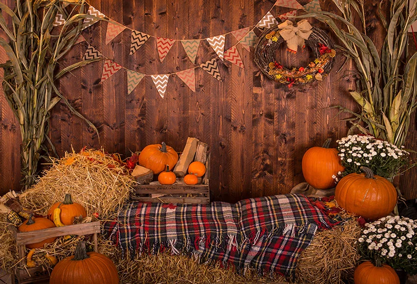 Halloween Digital Backdrop, Fall Digital Background, Pumpkin Backdrop, Halloween Background, Pumpkin House,Fall Backdrop
Halloween Digital Backdrop, Fall Digital Background, Pumpkin Backdrop, Halloween Background, Pumpkin House,Fall Backdrop