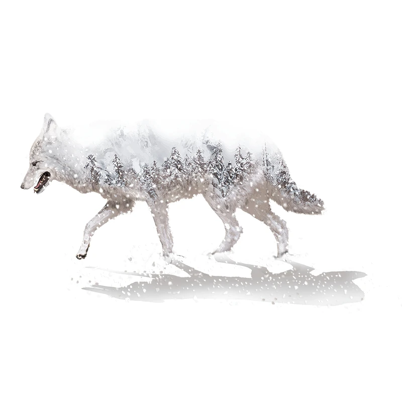 Shijuehezi Horrific Wolf Moon Birds Wall Sticker Pvc