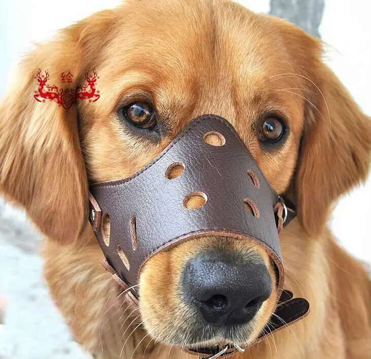 High quality adjustable leather dog muzzle training soft basket mesh puppy anti bite barking | Дом и сад