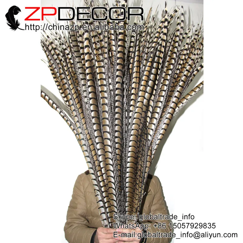 ZPDECOR 40-44inch(100-110cm) 50pieces/lot Super Long Natural Lady Amherst Pheasant Tail Feathers for Carnival Headdress Decor
ZPDECOR 40-44inch(100-110cm) 50pieces/lot Super Long Natural Lady Amherst Pheasant Tail Feathers for Carnival Headdress Decor