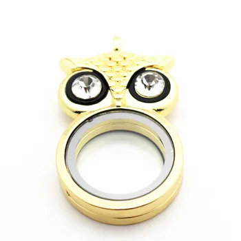 Hot selling 30mm Crystal Owl Twist Floating Locket Necklace Round Sparkles Screw Open Glass Memory Locket
Hot selling 30mm Crystal Owl Twist Floating Locket Necklace Round Sparkles Screw Open Glass Memory Locket