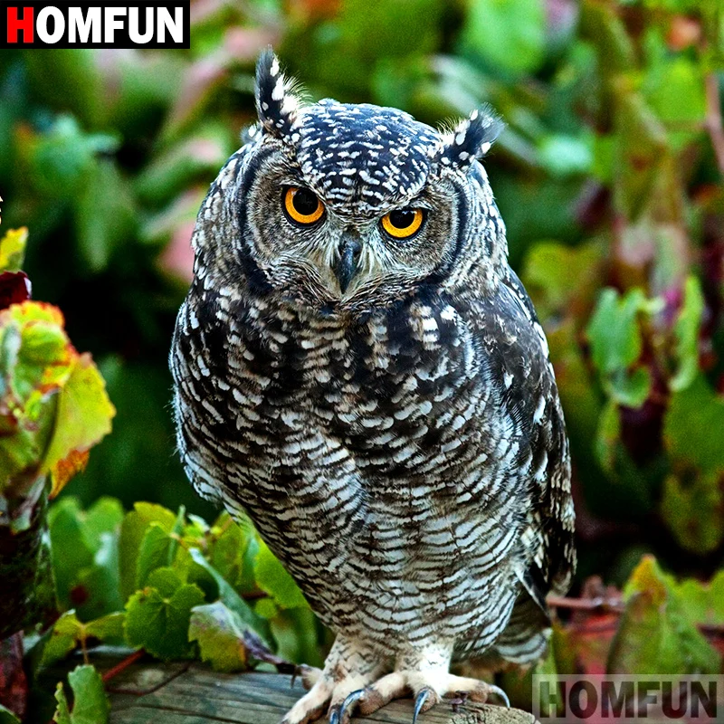 HOMFUN 5D DIY Diamond Painting Full Square/Round Drill "Animal owl" 3D Embroidery Cross Stitch gift Home Decor Gift A07912
HOMFUN 5D DIY Diamond Painting Full Square/Round Drill "Animal owl" 3D Embroidery Cross Stitch gift Home Decor Gift A07912