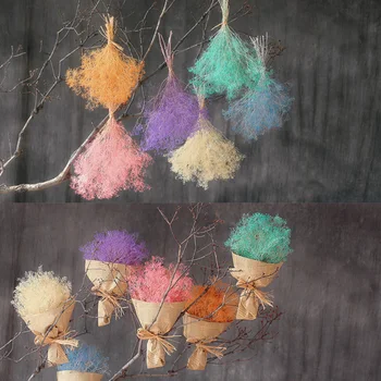 One Bunch Natural Dried Flower Dreamy Grass Home Furnishing Decoration Natural Plant Flower Arrangement Art
One Bunch Natural Dried Flower Dreamy Grass Home Furnishing Decoration Natural Plant Flower Arrangement Art