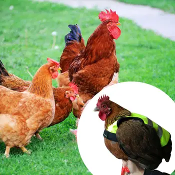 Pet Reflective Vest High Visibility Chicken Clothes Poultry Hen Saddle Apron Feather Protection Holder for Chicken and Duck
Pet Reflective Vest High Visibility Chicken Clothes Poultry Hen Saddle Apron Feather Protection Holder for Chicken and Duck