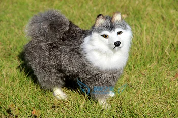 simulation animal 21X20X7CM grey Samoyed dog polyethylene & furs handicraft Decoration prop emulation kitty doll gift k4150
simulation animal 21X20X7CM grey Samoyed dog polyethylene & furs handicraft Decoration prop emulation kitty doll gift k4150