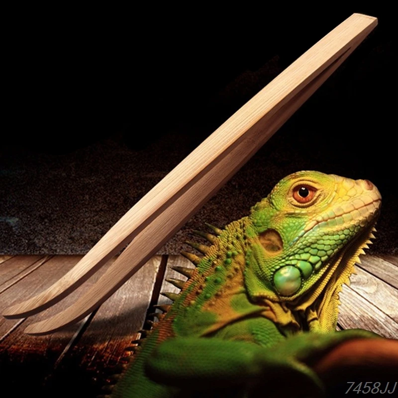 Long Super Reptile Wood Tweezers Clips 28 cm and 16.5 cm size Frog Spider Tool Litter Terrarium Cleaning and Feeding Z03
Long Super Reptile Wood Tweezers Clips 28 cm and 16.5 cm size Frog Spider Tool Litter Terrarium Cleaning and Feeding Z03