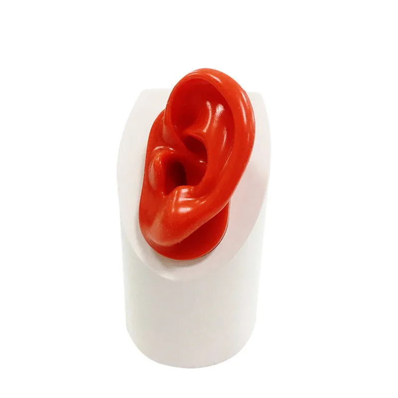 Hearing Aid Display Stand with Silicone Ear for Hearing Aids IEMs Jewelry Exhibition
Hearing Aid Display Stand with Silicone Ear for Hearing Aids IEMs Jewelry Exhibition
